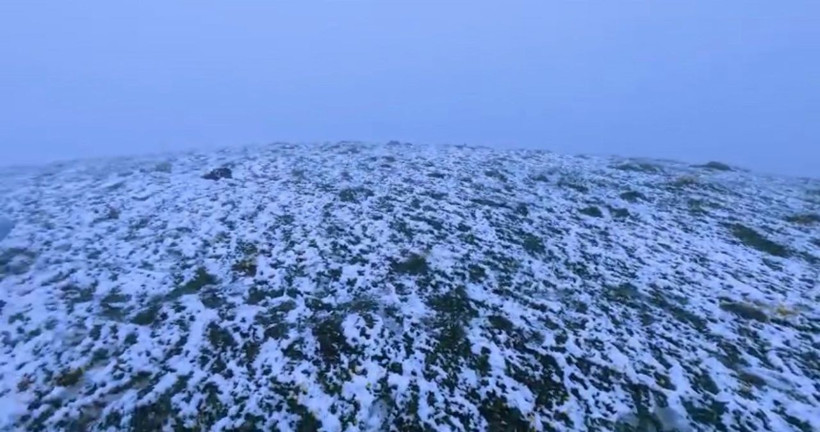 Mayıs sonunda kar sürprizi: Yayla beyaza büründü - Resim: 2