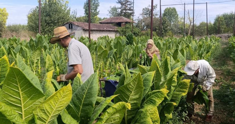 Gözden düşmüştü, tekrardan ekilmeye başlandı: Yeni gelir kapısı oldu - Resim: 5