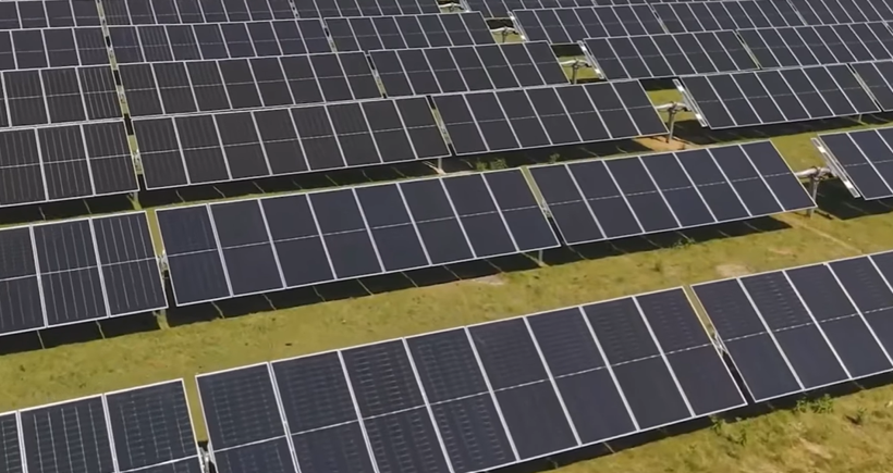 Aynı araziden iki gelir birden: Elektrik üretirken koyun da besliyor - Resim: 3