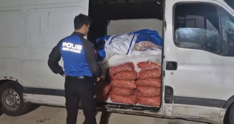 Piyasa değeri 2.5 milyon! Denize geri bıraktılar - Resim: 2