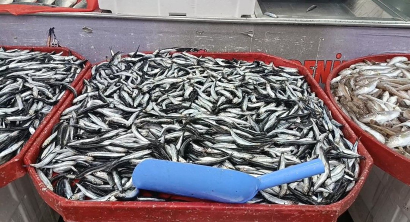 Bir anda azaldı, fiyatı iki katına çıktı - Resim: 4