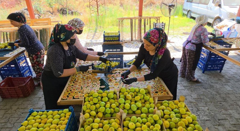 Aydın'ın gözdesi değerini katlıyor: 3 günde hazırlanıyor, fiyatı 6 katına çıkıyor - Resim: 4