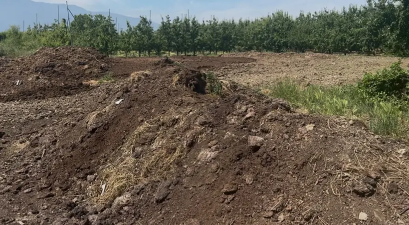 Günlük 5 bin liraya işçi bulamadı: Çalışmak istemiyorlar - Resim: 2