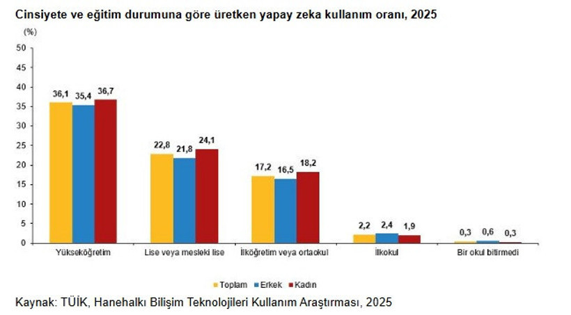 TÜİK ilk kez açıkladı: İşte istatistikler ile yapay zeka! - Resim : 5