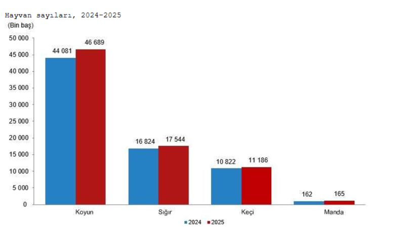 2025'te b&uuml;y&uuml;kbaş hayvan sayısı y&uuml;zde 4,3 arttı - Resim : 1