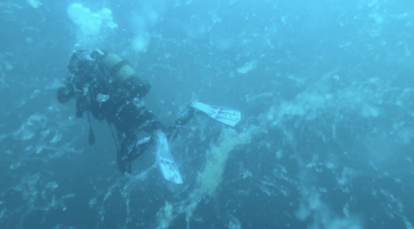 Müsilaj kâbusu geri döndü! Uzman isimden korkutan açıklama - Resim: 4