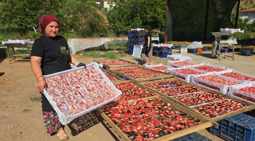 Aydın'ın gözdesi değerini katlıyor: 3 günde hazırlanıyor, fiyatı 6 katına çıkıyor - Resim: 9