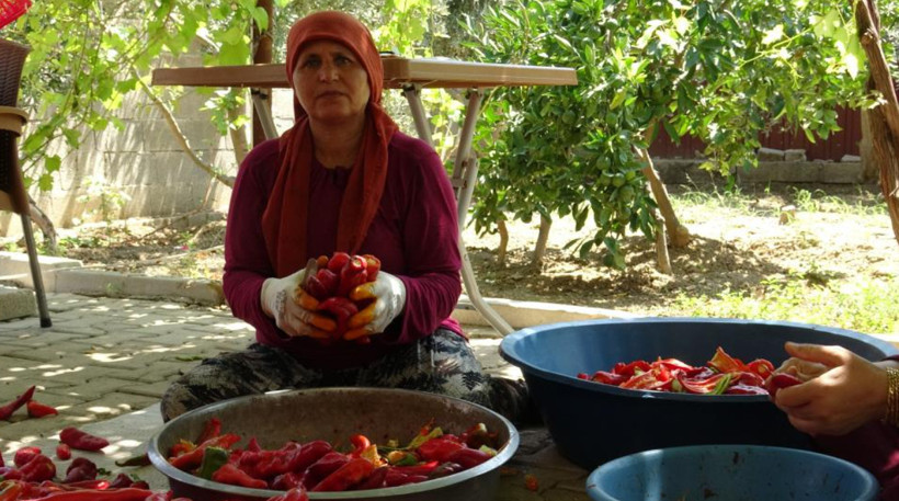 Damlar kırmızıya büründü: Kilosu 300 liradan, günde 500 kilo hazırlanıyor - Resim: 5