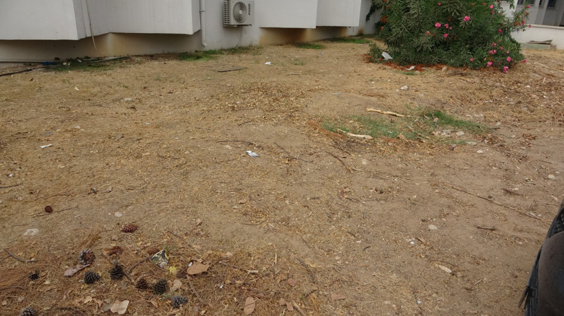 Türkiye’de bir ilk: 4 yıl önce gömülen 16 metrelik fin balinası öğrenciler tarafından bilimsel kazıyla çıkarılacak - Resim : 2