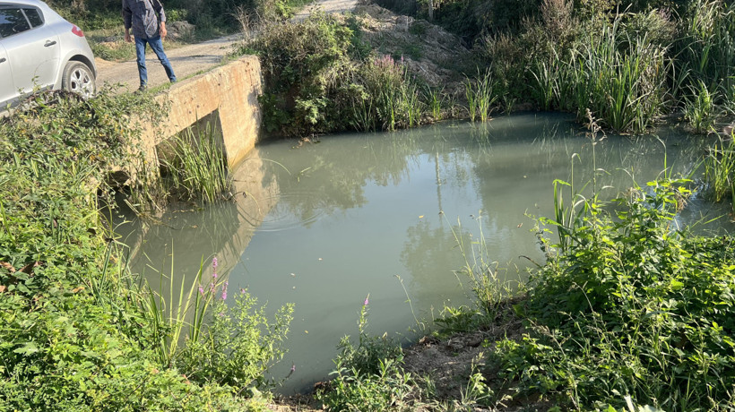 Ferizli’de fabrika atıkları isyanı: Balıklar öldü, mahsuller zarar gördü - Resim : 1