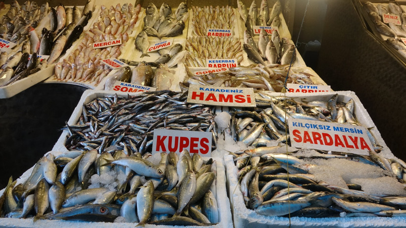 Balıkçılardan müjde: Tezgahlar doldu taştı! Sezon Kasım ayına kadar sürecek - Resim : 2