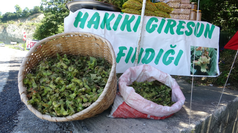Üretici doğrudan satışa geçti: Fındıkta 2026'nın ilk fiyatı belli oldu! - Resim : 1