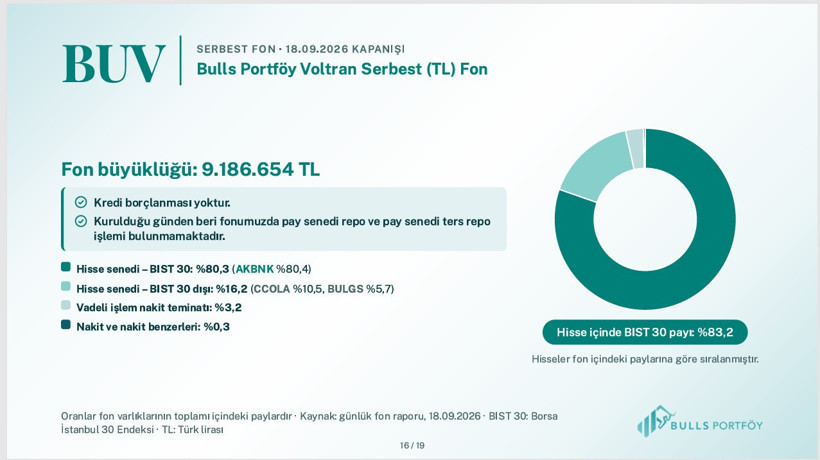 Bulls Portföy fonlarının içeriğini tek tek açıkladı - Resim: 14