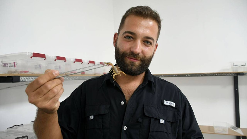 Gram altınla yarışıyor, 4 ayda 4 bin tane yavrusu oldu - Resim: 2