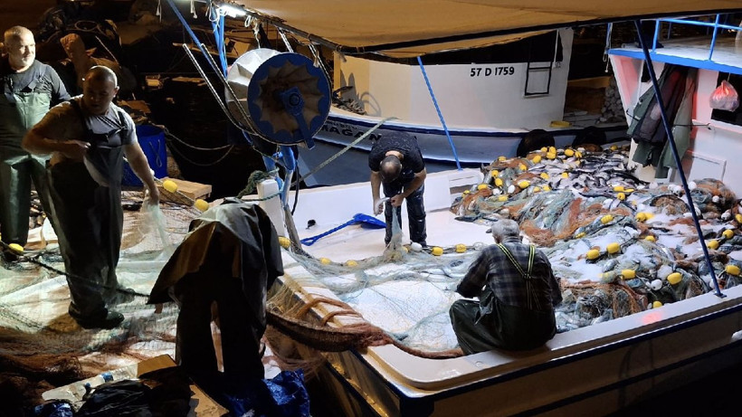 9 bin tane tuttular, tanesini 400 TL'den sattılar - Resim: 1