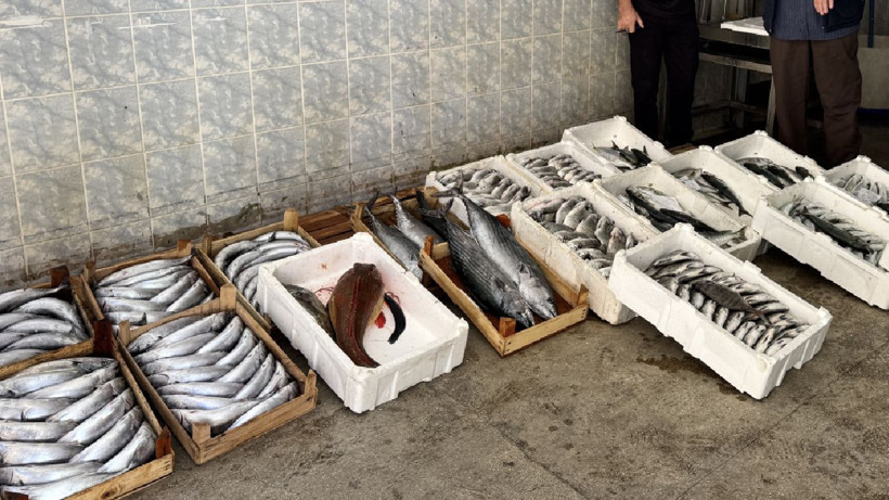 9 bin tane tuttular, tanesini 400 TL'den sattılar - Resim: 3