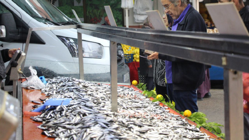 Balıkseverler müjde! "Bolluk ayı" başladı - Resim: 1