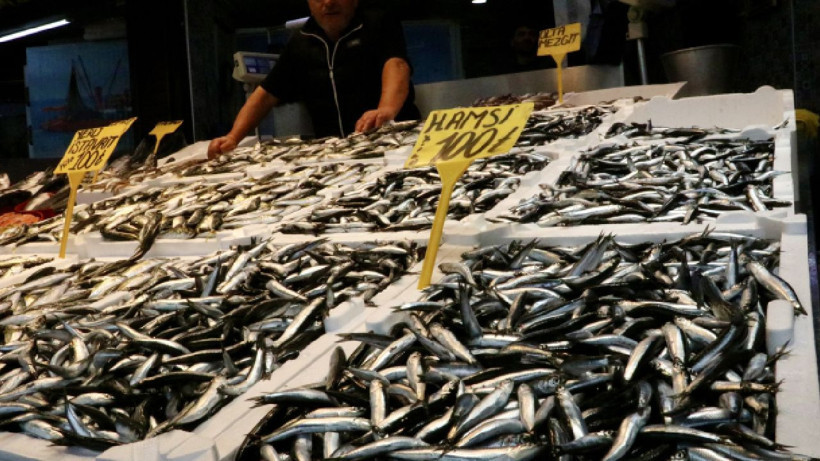 Kilosu 100 liraya düştü! Kapış kapış satılıyor - Resim: 2