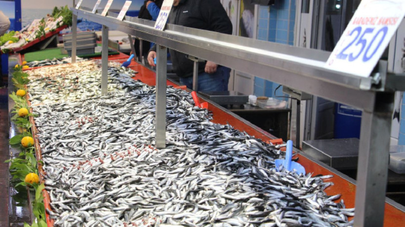 Balıkseverler müjde! "Bolluk ayı" başladı - Resim: 3