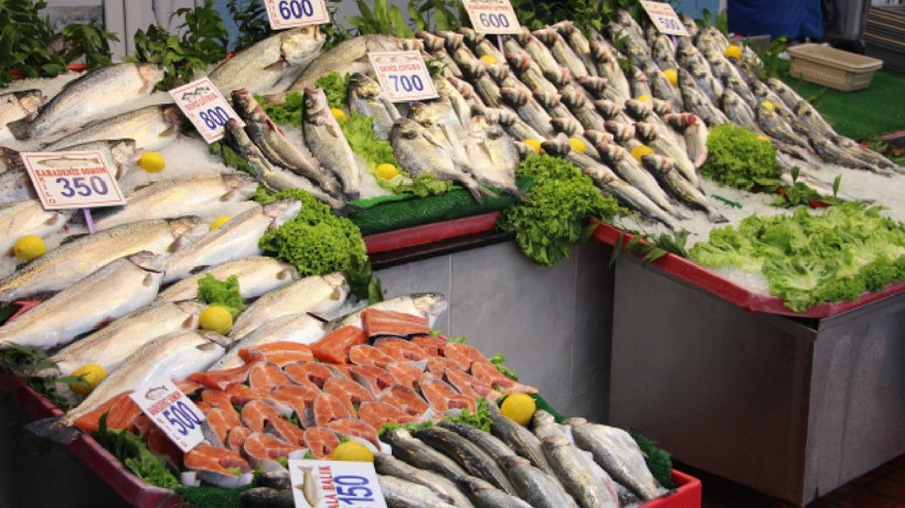 Balıkseverler müjde! "Bolluk ayı" başladı - Resim: 4