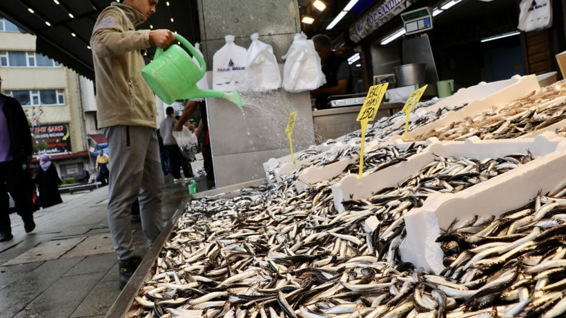 Kilosu 100 liraya düştü! Kapış kapış satılıyor - Resim: 5