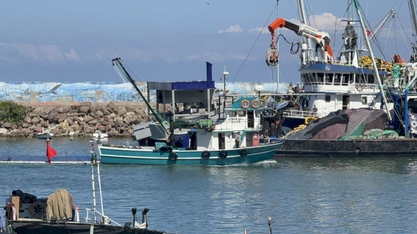 Balıkçıların gözü havada, denk gelen 500 kasa tutuyor - Resim: 1