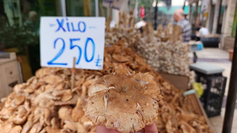 Tezgahlarda tirmit bolluğu: Fiyatı düştü - Resim: 1