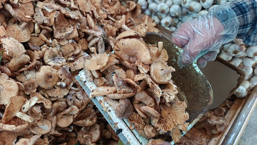 Tezgahlarda tirmit bolluğu: Fiyatı düştü - Resim: 3