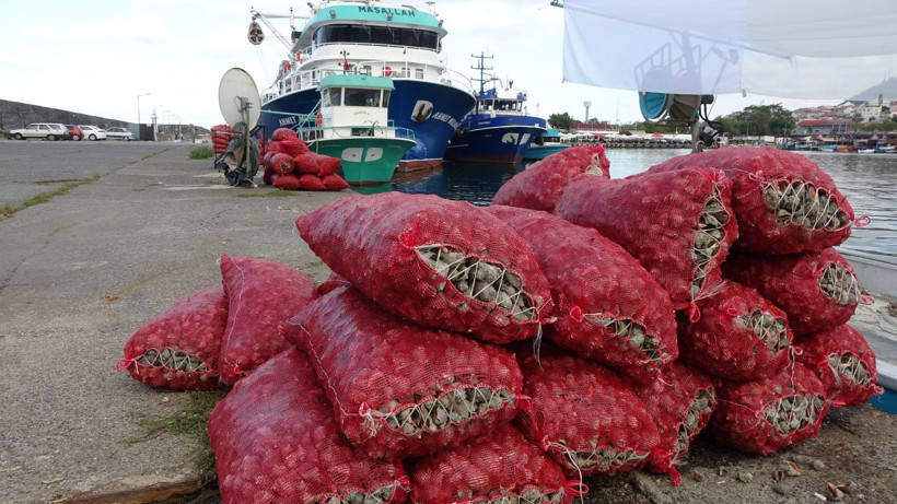 Palamuttan sonra bir hüsran daha! Yarı yarıya düştü - Resim: 3