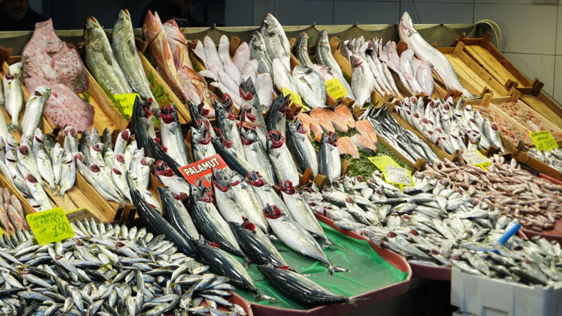 Balıkçılardan kötü haber! Tanesi 1000 liraya çıkabilir - Resim: 3