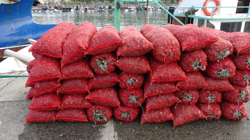 Palamuttan sonra bir hüsran daha! Yarı yarıya düştü - Resim: 4