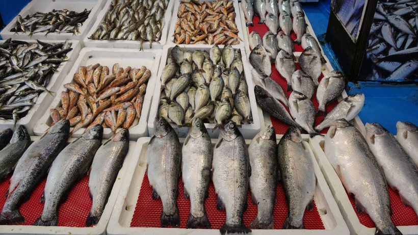 Balıkçılardan kötü haber! Tanesi 1000 liraya çıkabilir - Resim: 5