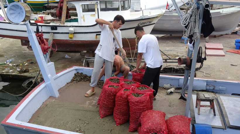 Palamuttan sonra bir hüsran daha! Yarı yarıya düştü - Resim: 6