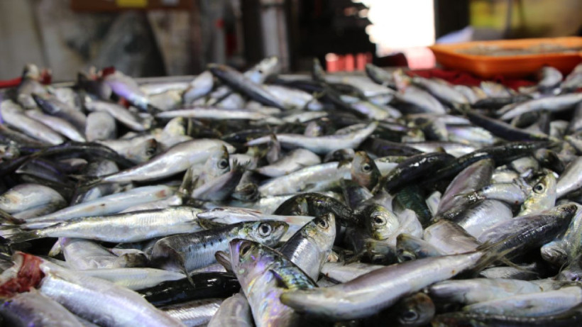 100 liraya düştü, kapış kapış gidiyor - Resim: 4