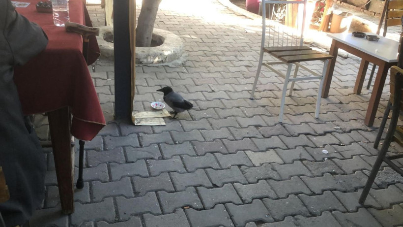 Rıfkı kahvehanenin müdavimi oldu - Resim: 4