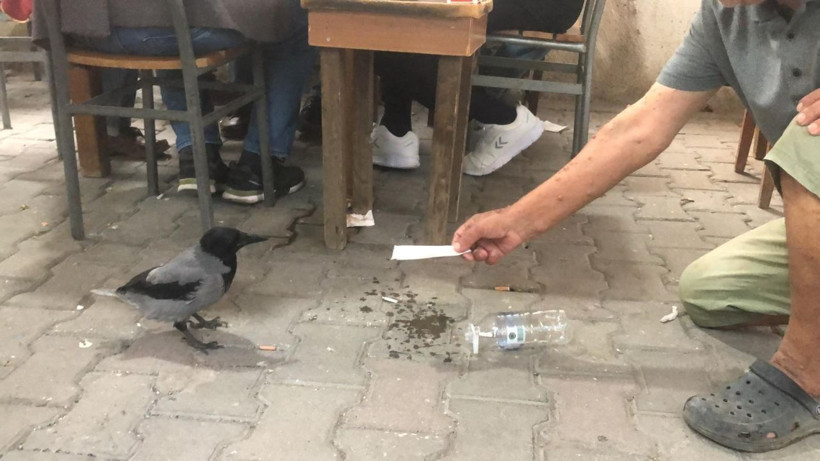 Rıfkı kahvehanenin müdavimi oldu - Resim: 5