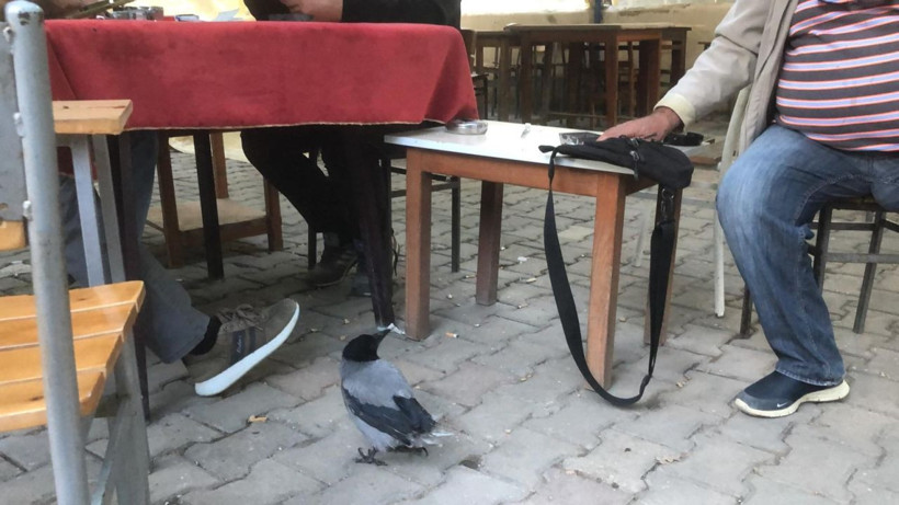 Rıfkı kahvehanenin müdavimi oldu - Resim: 7