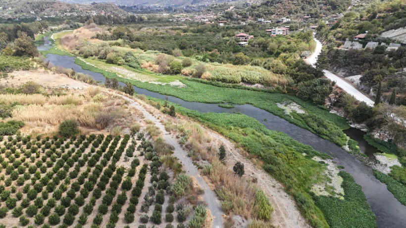 İstila ettiler! Boyu 1 metreyi buluyor - Resim: 4