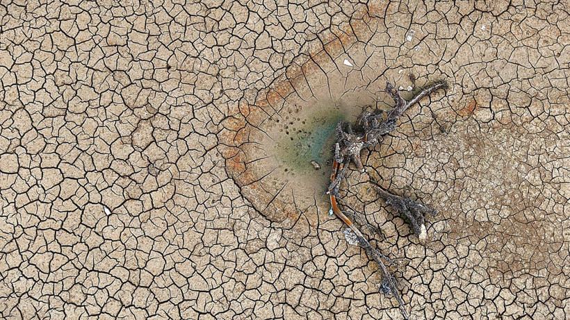 Bursa’da iki barajda su bitti: Tarım arazileri kuraklığın pençesinde - Resim: 5