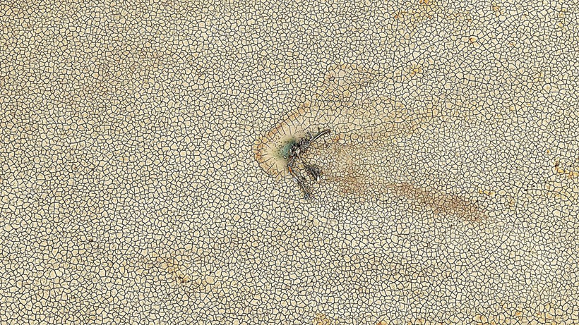 Bursa’da iki barajda su bitti: Tarım arazileri kuraklığın pençesinde - Resim: 4