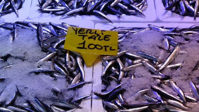 Hamside tehlike çanları! Yarı yarıya düştü - Resim: 6