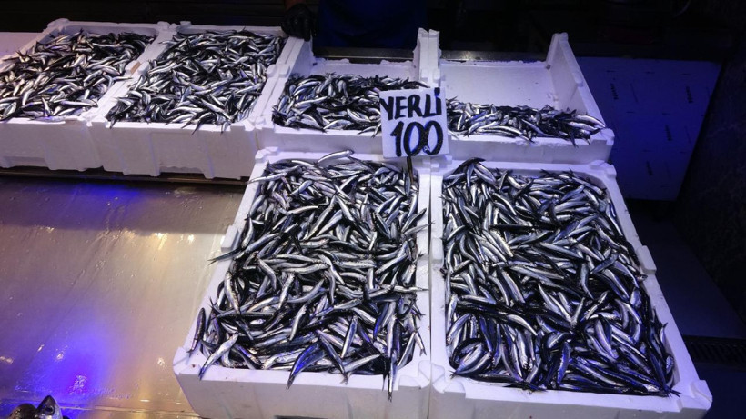 Hamside tehlike çanları! Yarı yarıya düştü - Resim: 7