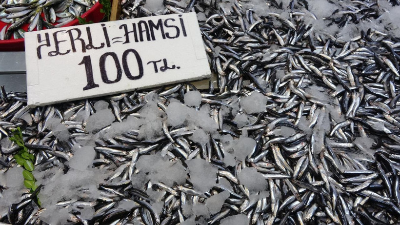 Hamside tehlike çanları! Yarı yarıya düştü - Resim: 8