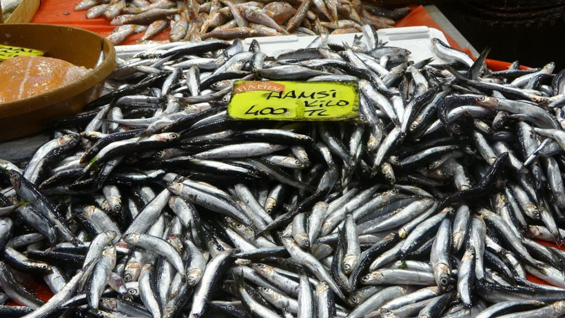 Hamside tehlike çanları! Yarı yarıya düştü - Resim: 10