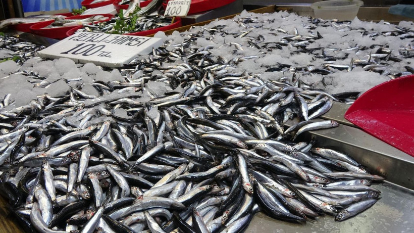 Hamside tehlike çanları! Yarı yarıya düştü - Resim: 13