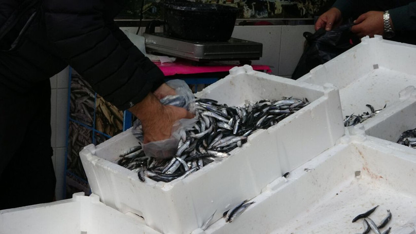 Fiyatlar yarı yarıya azaldı! Hamsi 70 liraya düştü, vatandaş sevinçten çiğ yedi - Resim: 5