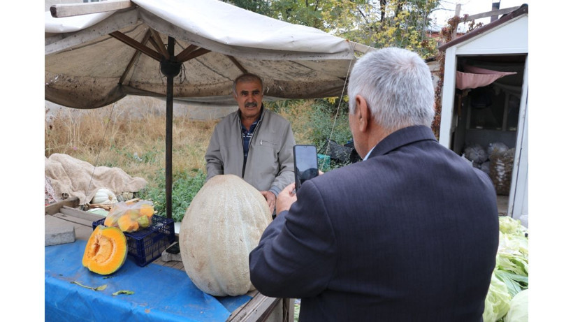 Bu kabak diğerlerinden çok farklı! Nedenini yetiştiren çiftçi açıkladı - Resim: 2