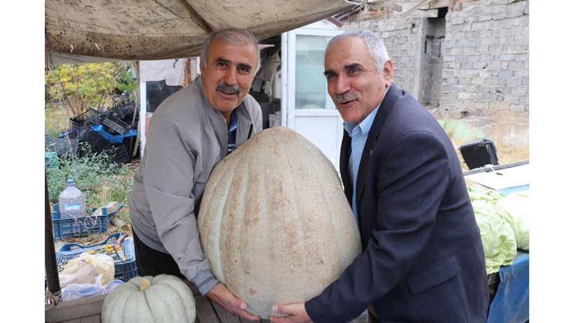 Bu kabak diğerlerinden çok farklı! Nedenini yetiştiren çiftçi açıkladı - Resim: 4
