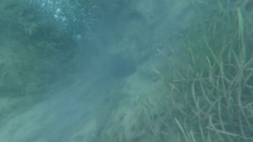 Sapanca Gölü'nde görülen kabarcıklar sosyal medyada endişe yarattı! Deprem habercisi mi? - Resim: 6