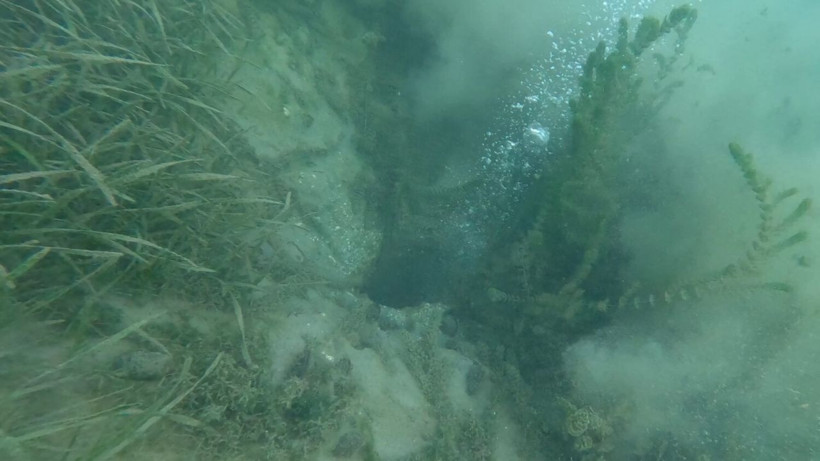 Sapanca Gölü'nde görülen kabarcıklar sosyal medyada endişe yarattı! Deprem habercisi mi? - Resim: 8